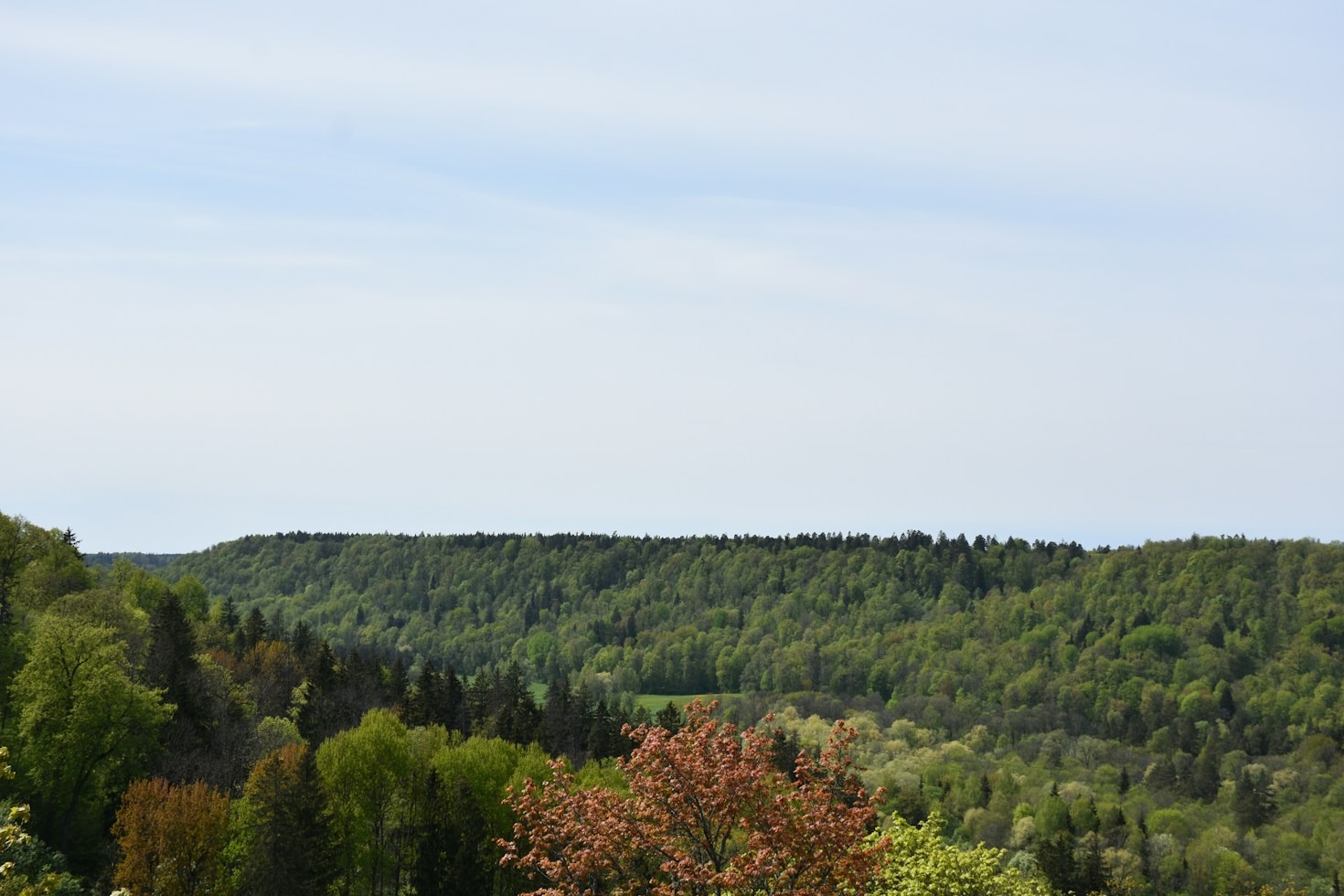 Bedrohte Tierarten in den Bergen des Pindos